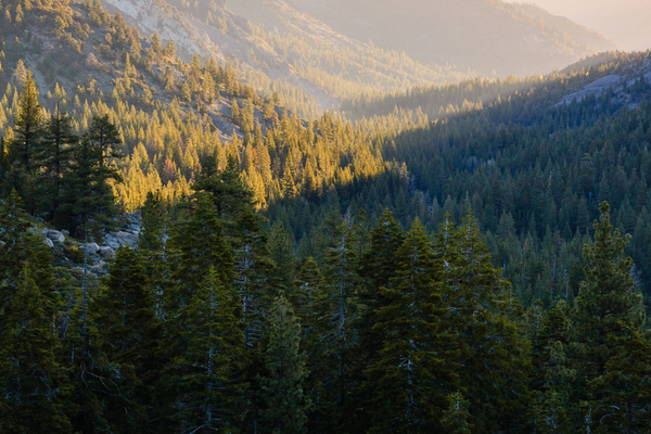 What the Roadless Rule Repeal Could Mean for Big Sky, Montana
