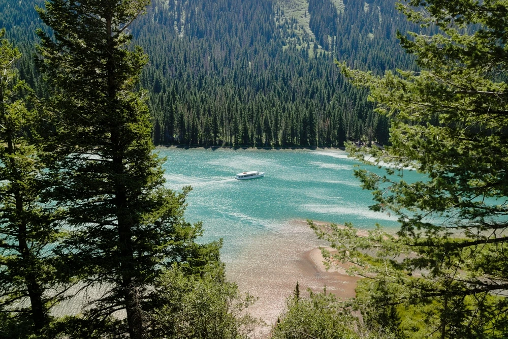 A boat navigating a bright turquoise lake flanked by heavily forested alpine mountains