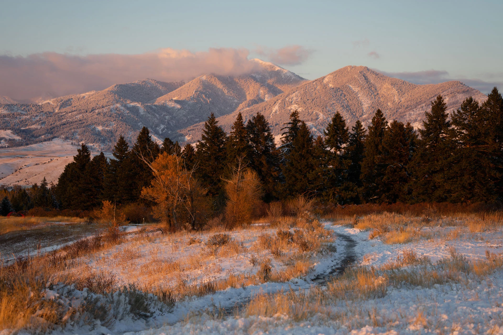 Montana Mountains